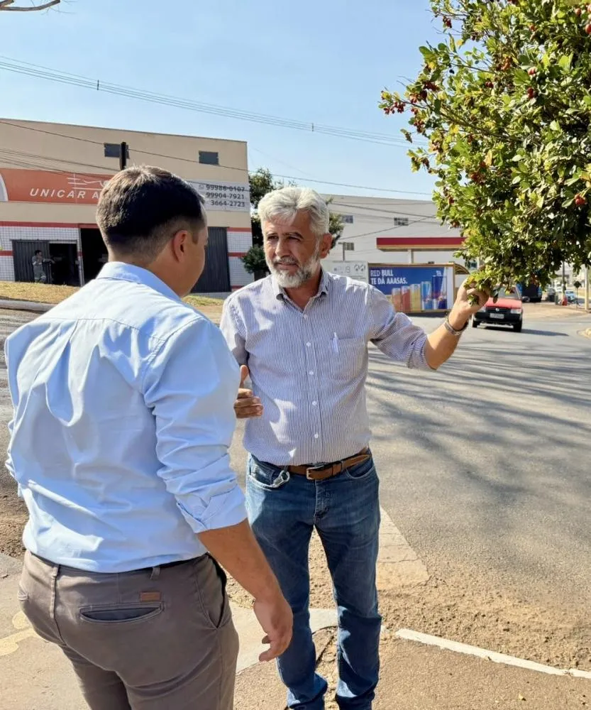 Lei contra planta comum acende alerta em Minas e pode mudar paisagem urbana para salvar citros