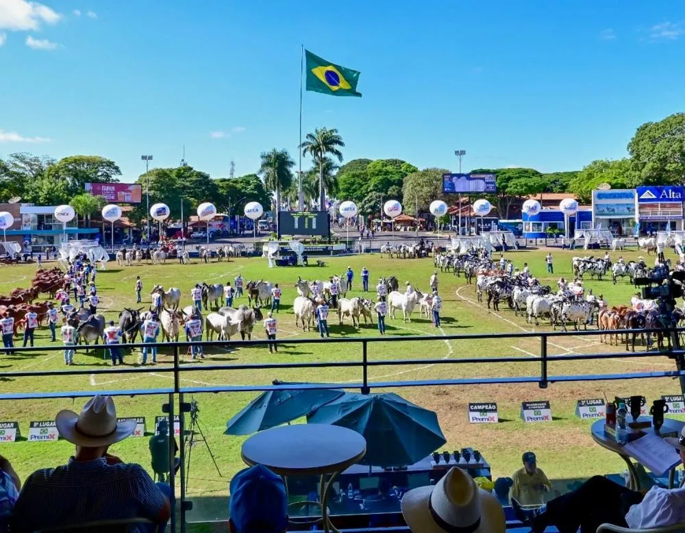 Antes mesmo de começar, ExpoZebu já impressiona e reforça peso da pecuária no Brasil