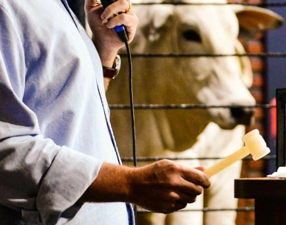 EXPOZEBU ULTRAPASSA R$ 100 MILHÕES EM LEILÕES E REFORÇA FORÇA DO AGRO EM UBERABA