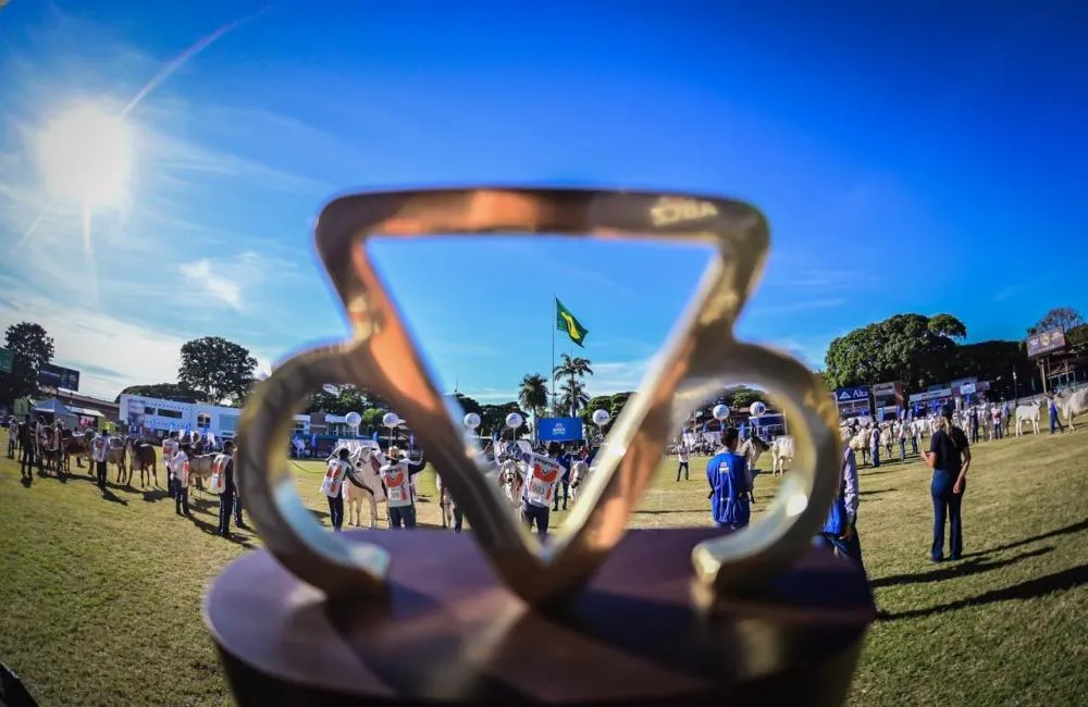 CAMPEÕES, PREMIAÇÕES E ORIENTAÇÕES AO PÚBLICO MARCAM RETA FINAL DA EXPOZEBU EM UBERABA