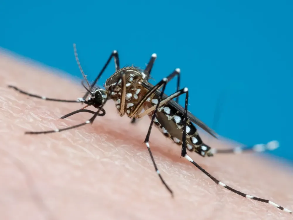 UBERABA AMPLIA VACINAÇÃO CONTRA DENGUE PARA TODOS OS TRABALHADORES DA SAÚDE APÓS NOVA RESOLUÇÃO
