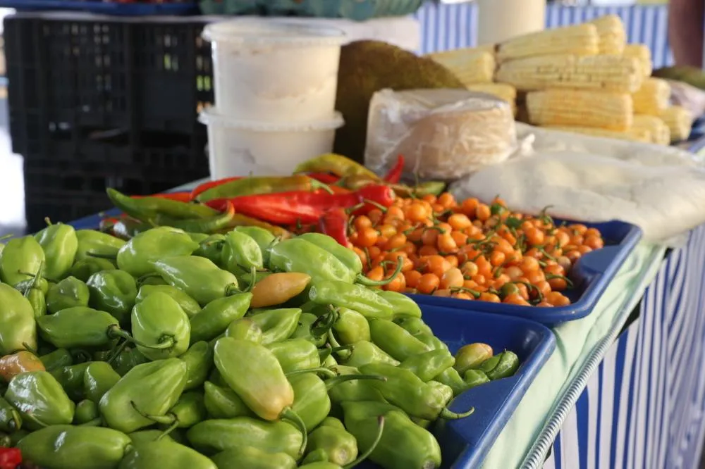 FEIRA RURAL VOLTA AO PARQUE DO SABIÁ E REACENDE MOVIMENTO DA AGRICULTURA FAMILIAR EM UBERLÂNDIA