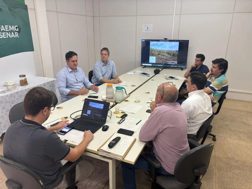 MESMO COM QUEDA NA PRODUTIVIDADE, UBERABA SEGUE ENTRE OS MAIORES PRODUTORES DE SOJA DE MINAS