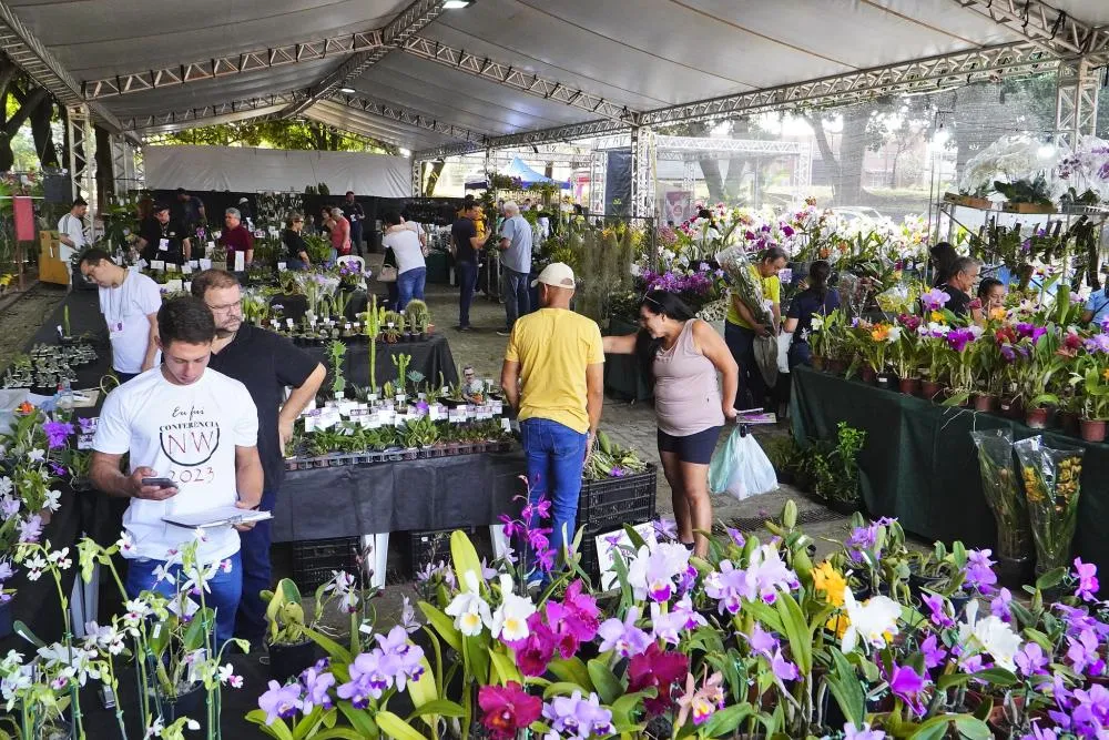 ORQUÍDEAS ATRAEM VISITANTES DE DENTRO E FORA DO BRASIL: UBERABA QUER TRANSFORMAR BIODIVERSIDADE EM TURISMO E DESENVOLVIMENTO
