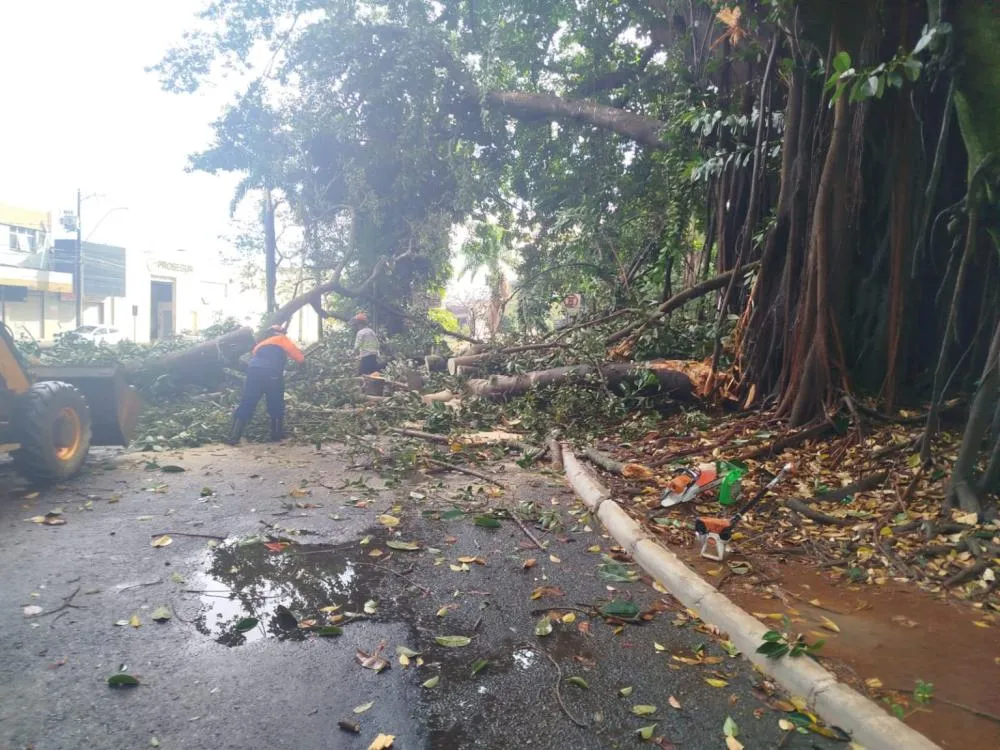 TEMPORAL ARRANCA TELHADOS, DERRUBA ÁRVORES E DEIXA RASTRO DE DESTRUIÇÃO EM UBERLÂNDIA
