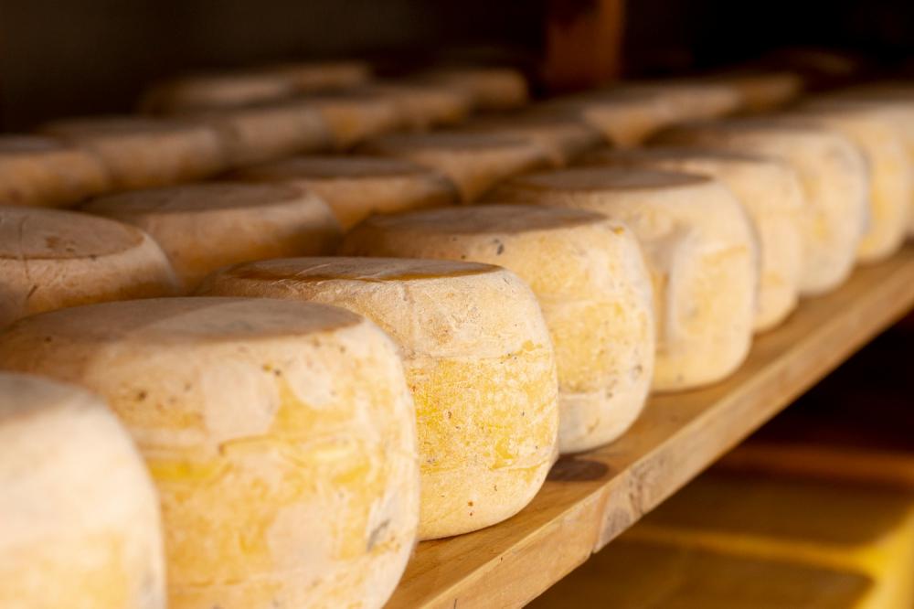 O QUE FAZ CADA QUEIJO MINEIRO TER UM SABOR ÚNICO
