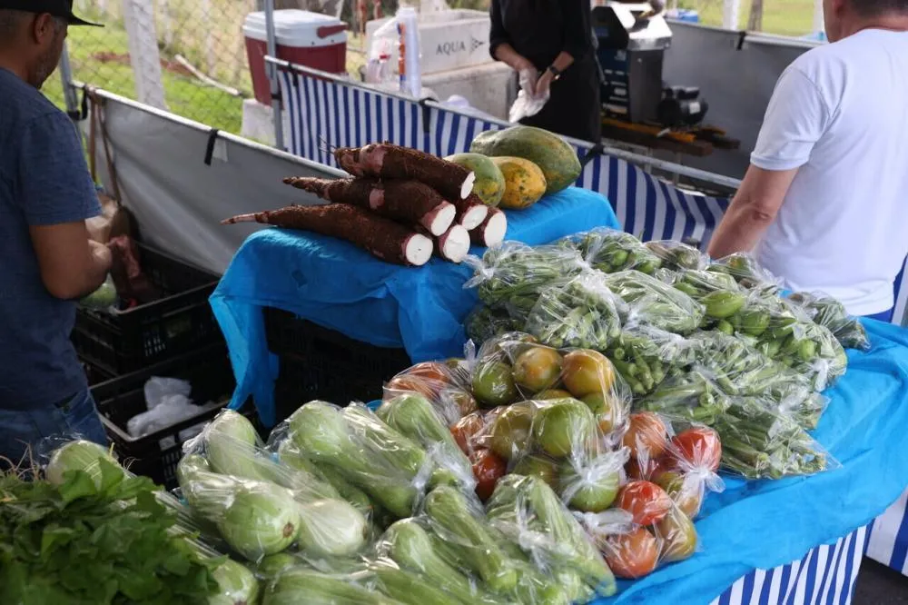 Feira Novo Agro movimenta o Parque do Sabiá com produtos rurais e artesanato local