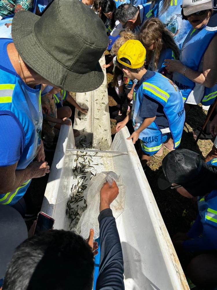RIO UBERABINHA RECEBE 170 MIL PEIXES NATIVOS