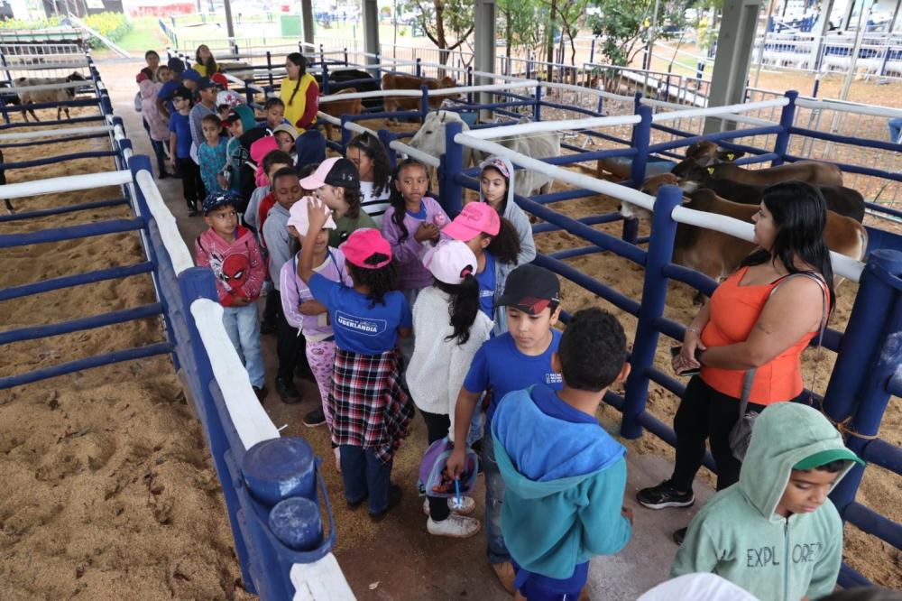FAZENDINHA CAMARU DEVE RECEBER 15 MIL VISITANTES EM UBERLÂNDIA