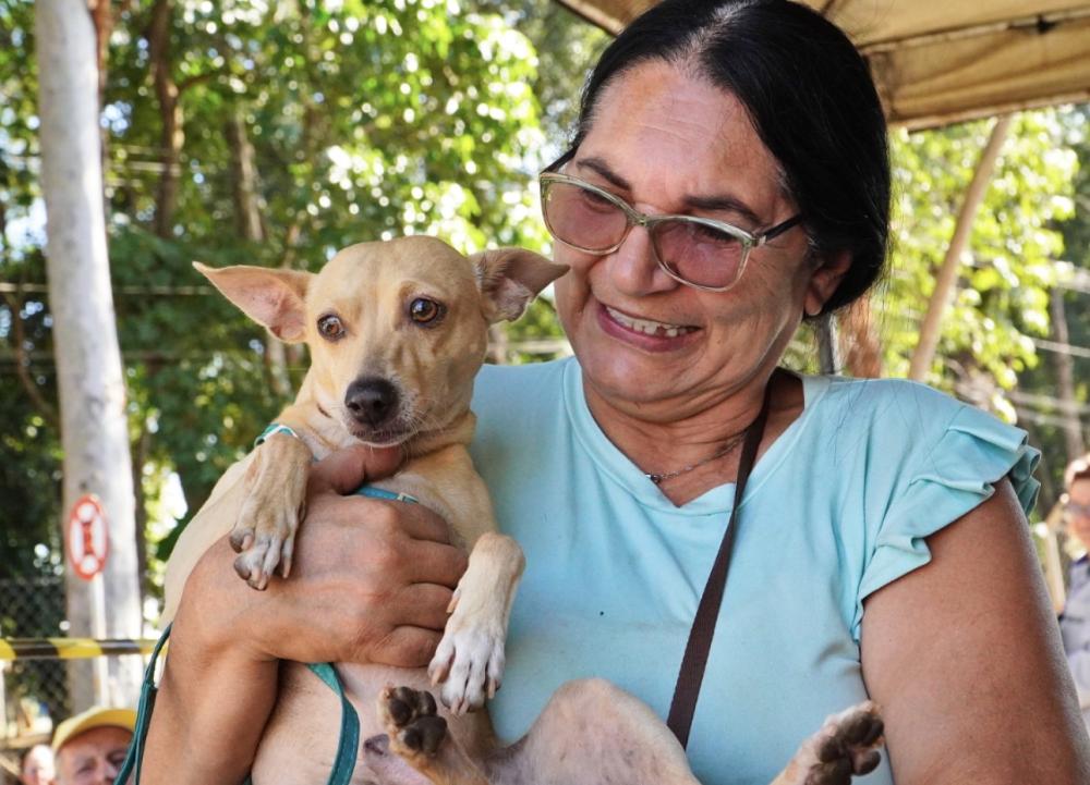 MUTIRÃO PREVÊ CASTRAR 900 CÃES E GATOS EM UBERABA