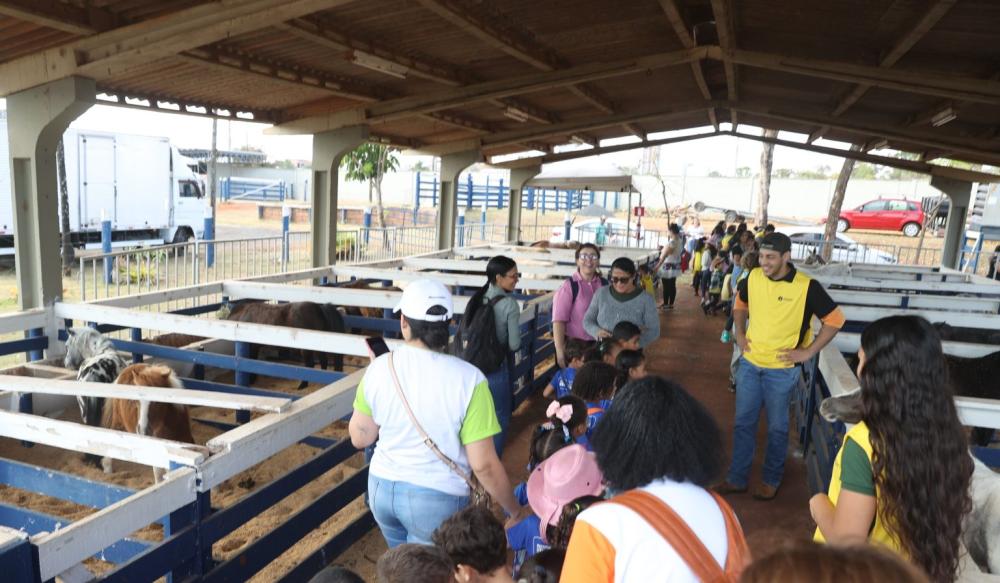 FAZENDINHA DO CAMARU ESPERA RECEBER 15 MIL VISITANTES EM UBERLÂNDIA