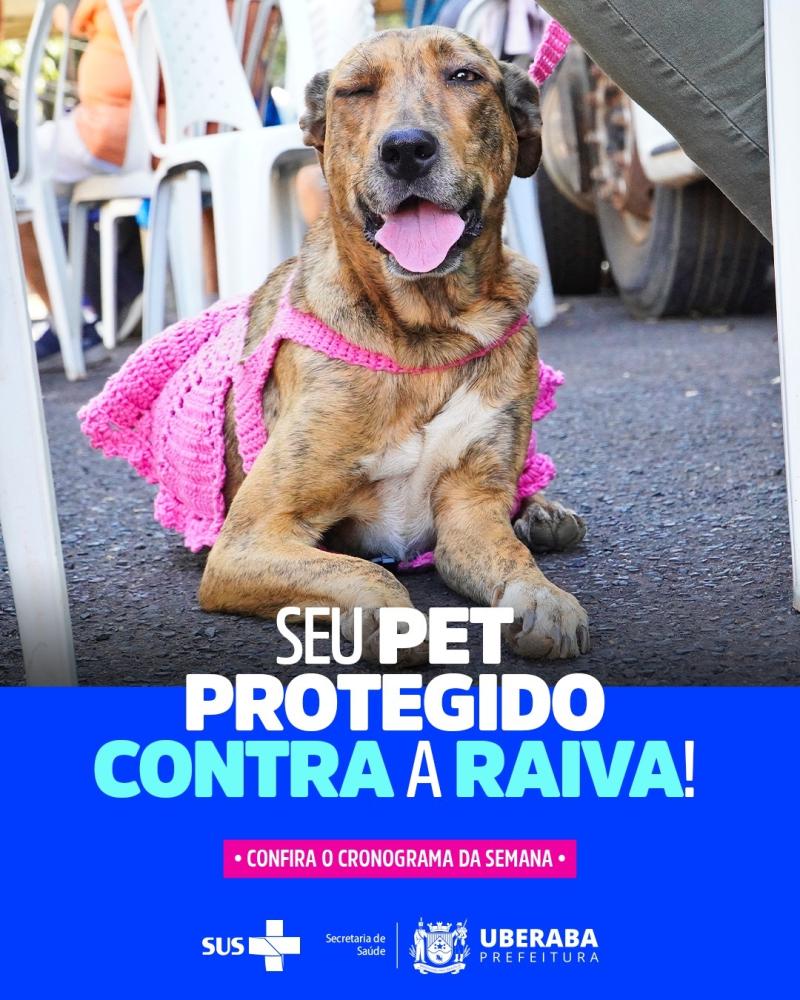 PREFEITURA DE UBERABA REALIZA NOVA ETAPA DA VACINAÇÃO ANTIRRÁBICA