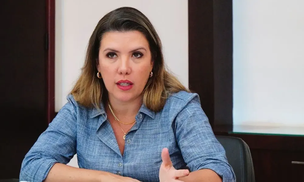 Elisa chama oposição de “terroristas” e vereadores do PSDB reagem com críticas duras