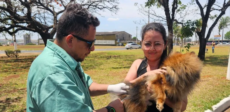 Araxá realiza Dia D de Vacinação Antirrábica neste sábado (4)