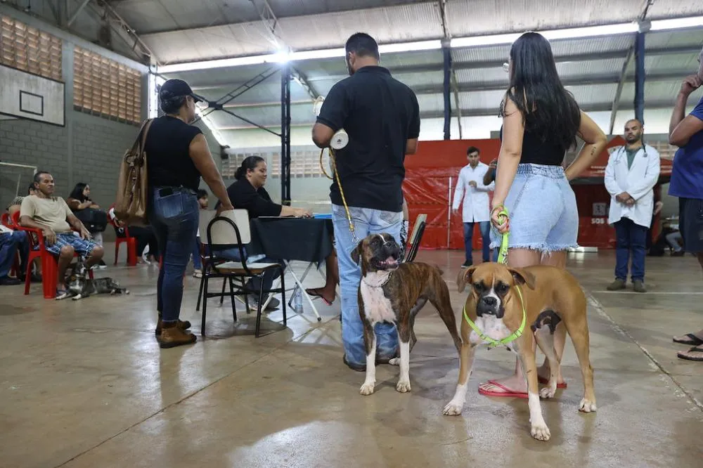 Castramóvel avança pelos distritos e Prefeitura acelera controle populacional de cães e gatos em Uberlândia