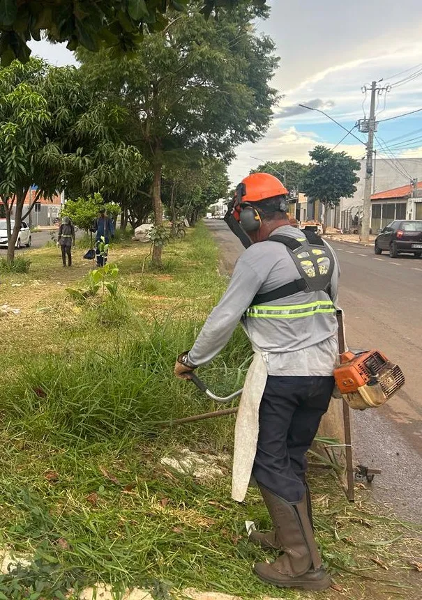 Limpeza a todo vapor tenta conter focos de insetos e desgaste urbano em Araguari