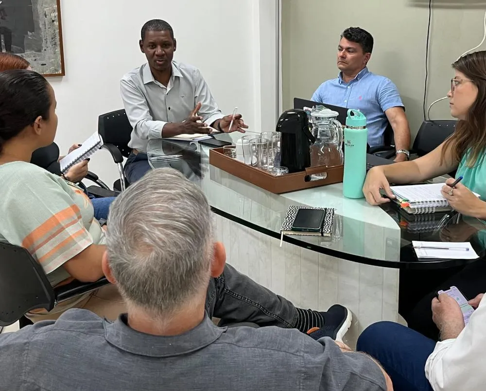 Executivo quer acabar com árvores plantadas no lugar errado e lança ofensiva de arborização planejada