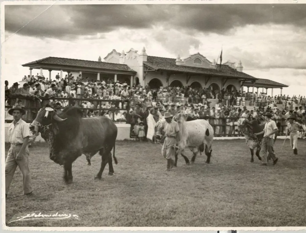 Quem vai decidir os campeões da maior feira de gado do mundo? ABCZ revela jurados da 91ª ExpoZebu